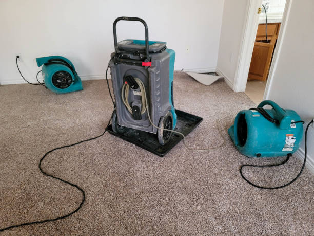 Best Flood damage cleanup  in Cross Mountain, TX