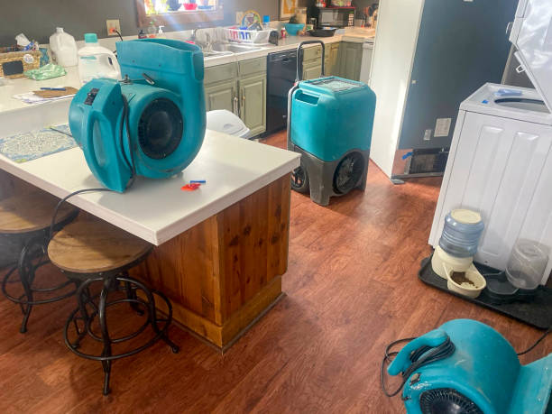 Best Mold removal after water damage  in Cross Mountain, TX