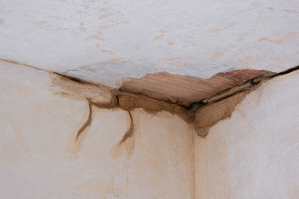 Best Basement water damage restoration  in Cross Mountain, TX