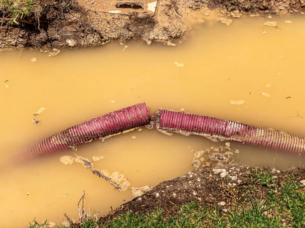 Best Local water damage restoration  in Cross Mountain, TX