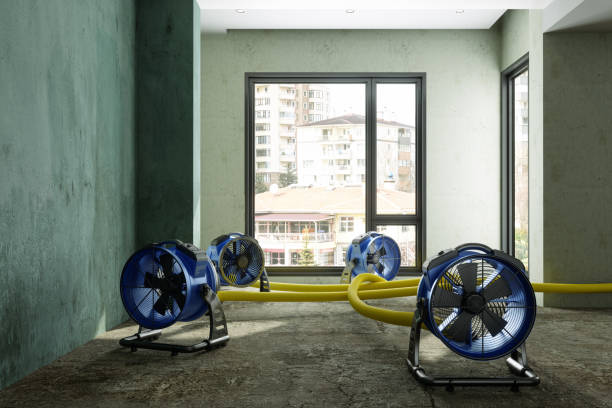 Trusted Cross Mountain, TX Water damage restoration Experts
